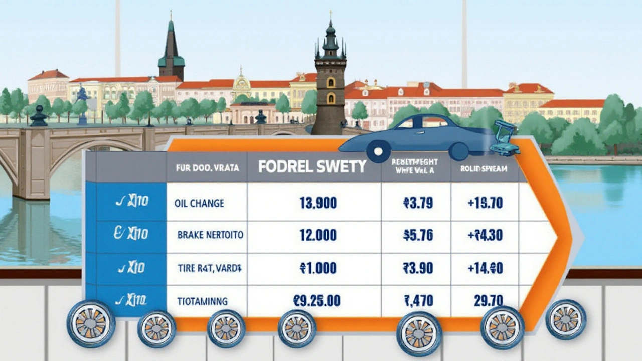 Kolik stojí různé typy servisu