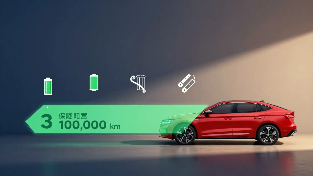 Časová osa záruky auta Škoda s označením období a výjimek.